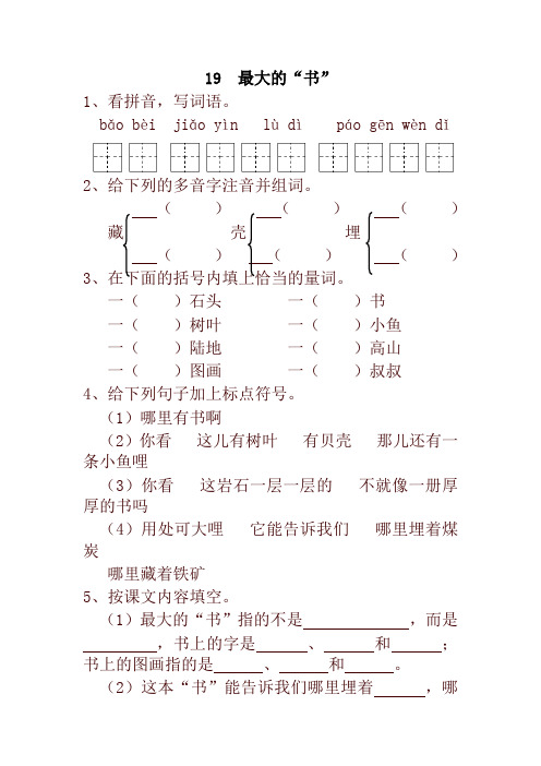 2019-2020学年度部编本小学二年级语文下册19  最大的“书” 一课一练及答案