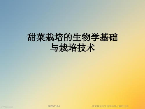 甜菜栽培的生物学基础与栽培技术