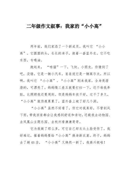 二年级作文叙事：我家的“小小高”