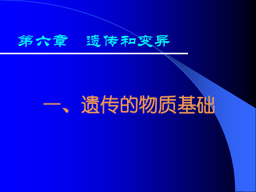 遗传的物质基础 (3)
