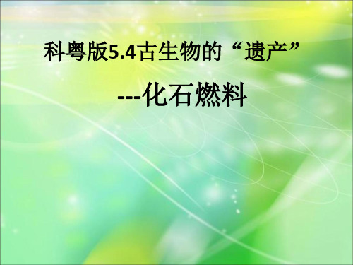 科粤版(2012)初中化学九上  5.4  古代生物的“遗产“—化石燃料   课件  (4)