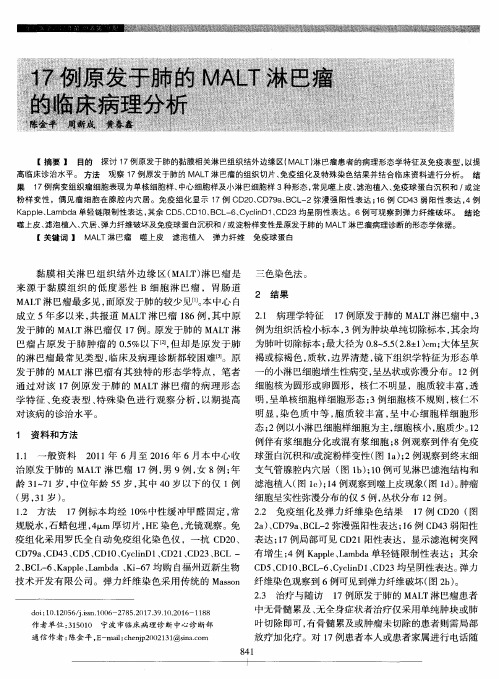 17例原发于肺的MALT淋巴瘤的临床病理分析