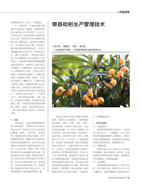 荣县枇杷生产管理技术
