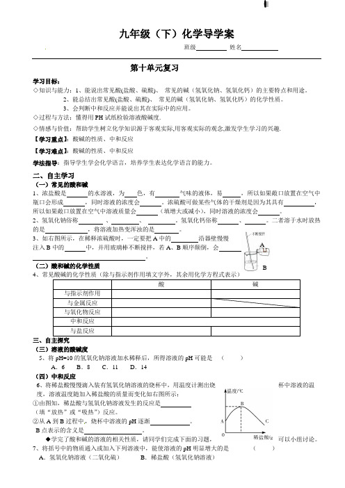 人教版化学九年级下册化学九年级人教新课标10单元《酸和碱》复习 导学案