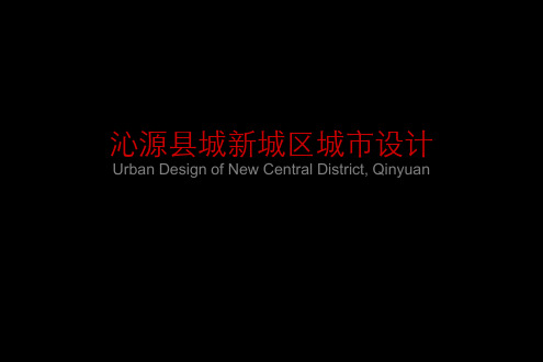 XX山水新城城市设计