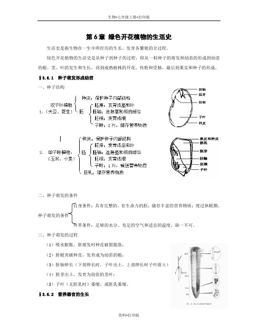 北师大版生物-七年级上册-第6章 绿色开花植物的生活史