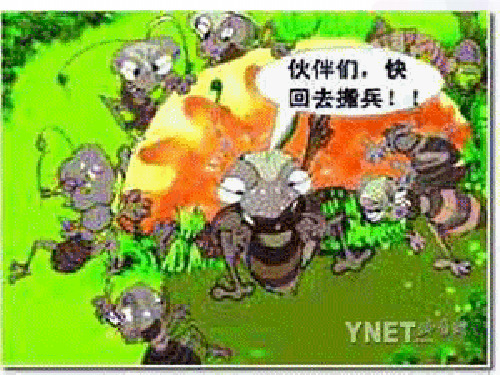 冀少版生物-八年级上册-动物行为的类型 课程设计 课件