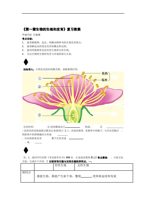 生物人教版八年级下册生物的生殖与发育复习教案