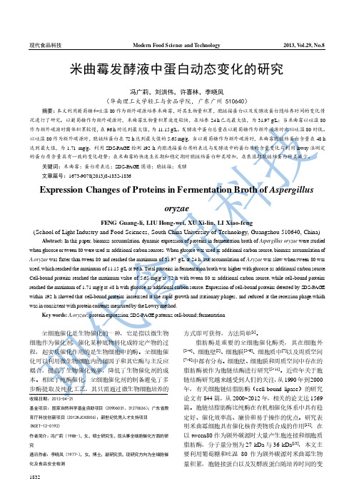 米曲霉胞链接与发酵液中蛋白动态变化的研究