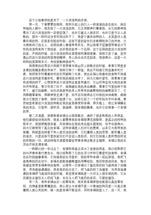 故事精选一只流浪狗的忠诚
