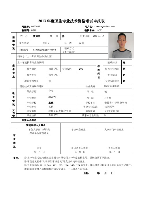 2013年度卫生专业技术资格考试申报表