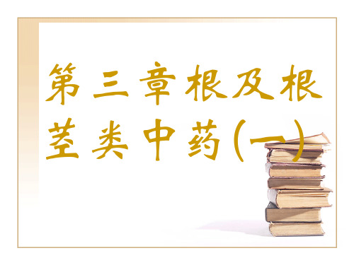 根和根茎类中药1