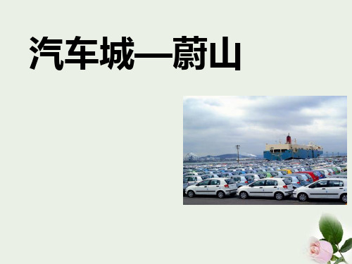 《汽车城—蔚山》文明中心—城市 图文