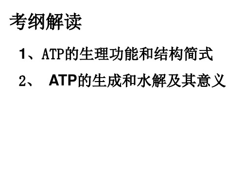 高三生物新陈代谢与酶(PPT)4-4