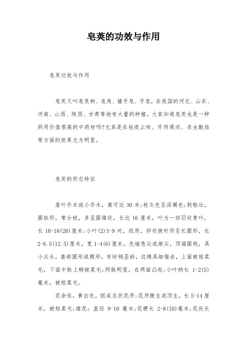 皂荚的功效与作用