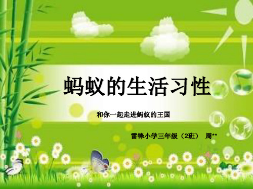 蚂蚁的习性