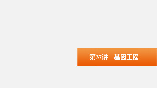 高考生物 一轮复习 第37讲 基因工程