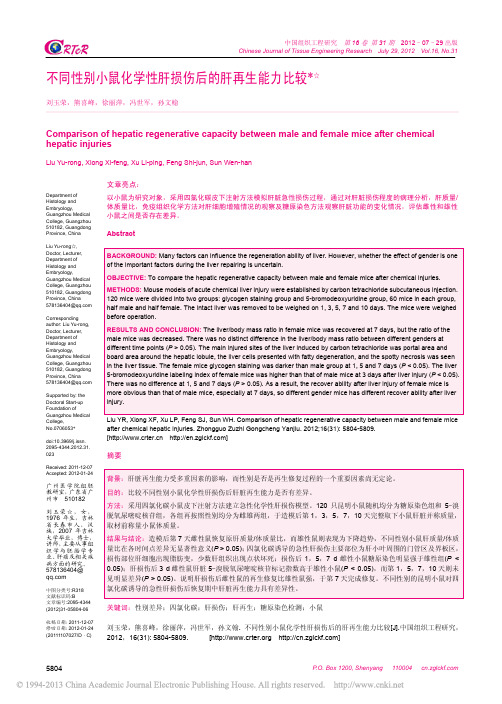 不同性别小鼠化学性肝损伤后的肝再生能力比较_刘玉荣