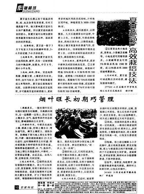 烟叶旺长初期巧管理