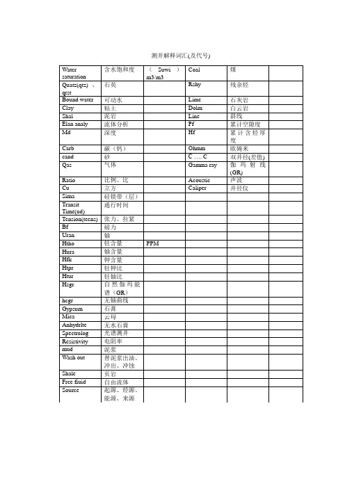 测井解释词汇及代号