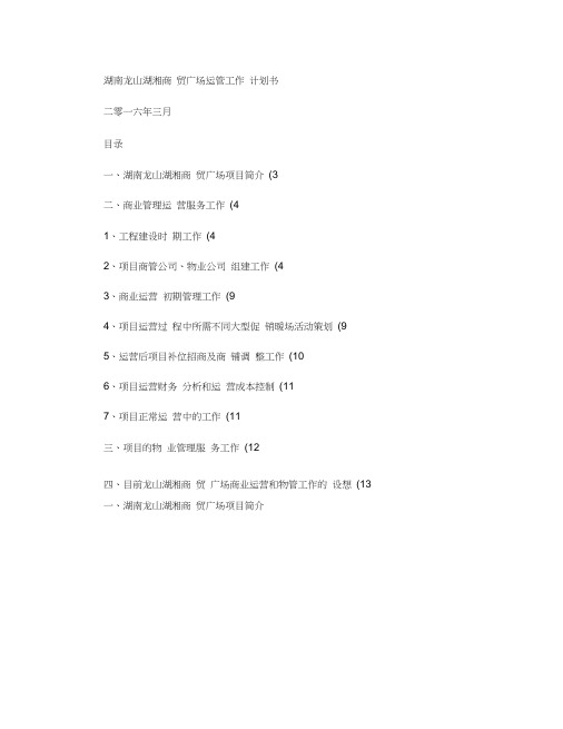 湖湘商贸运营管理工作计划书