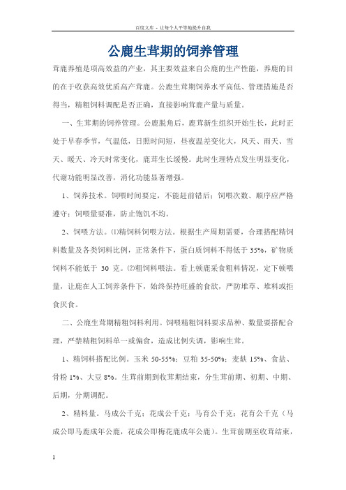 公鹿生茸期的饲养管理