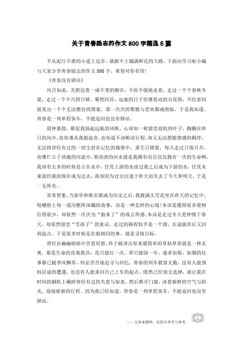 关于青春励志的作文800字精选5篇