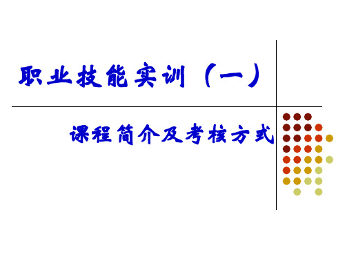 职业技能实训ppt