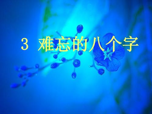 难忘的八个字