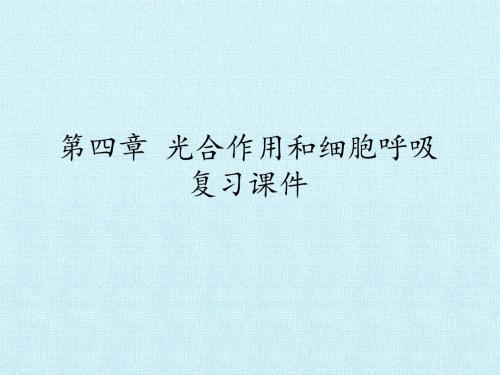 苏教版高中生物必修1-分子与细胞：第四章 光合作用和细胞呼吸 复习课件