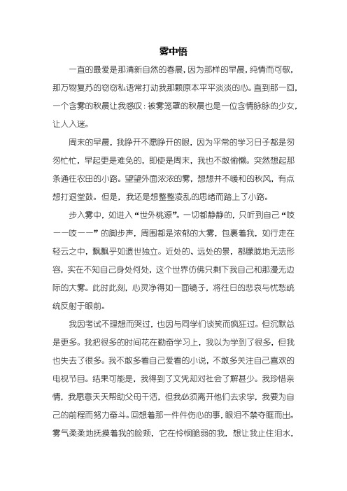 高二作文：雾中悟作文800字