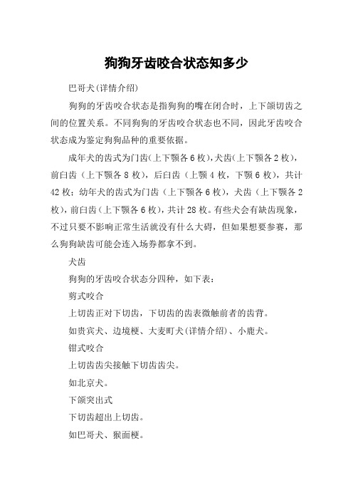 狗狗牙齿咬合状态知多少