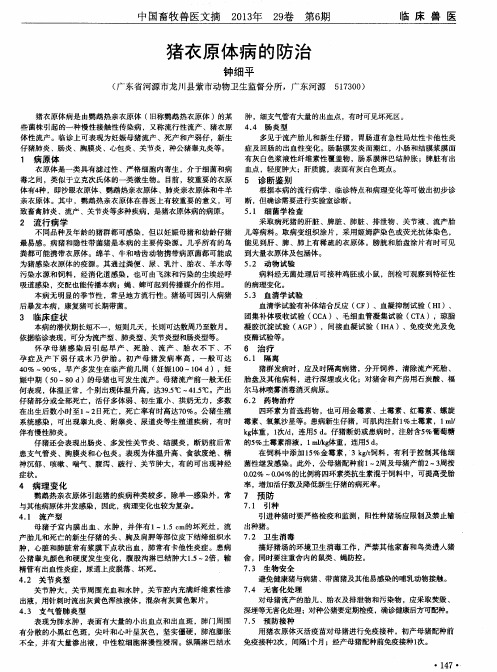 猪衣原体病的防治