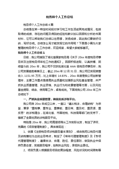 税务师个人工作总结