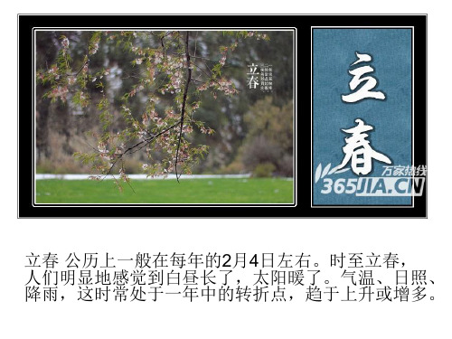 美到窒息二十四节气图