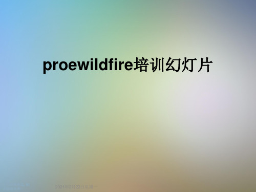 proewildfire培训幻灯片