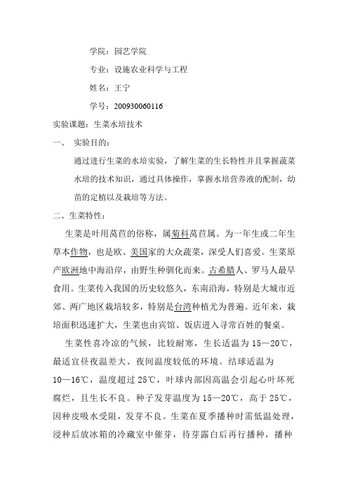 生菜水培技术