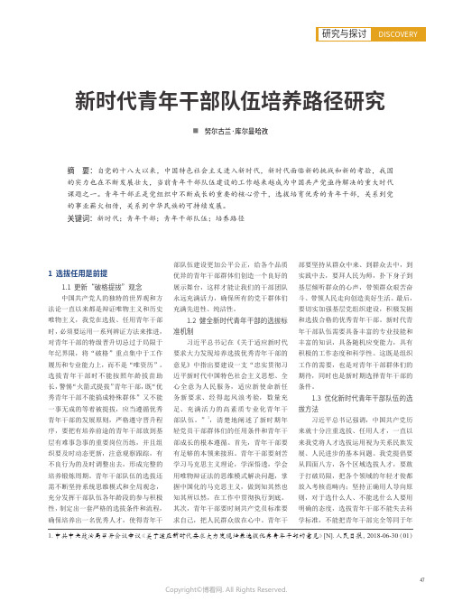 新时代青年干部队伍培养路径研究