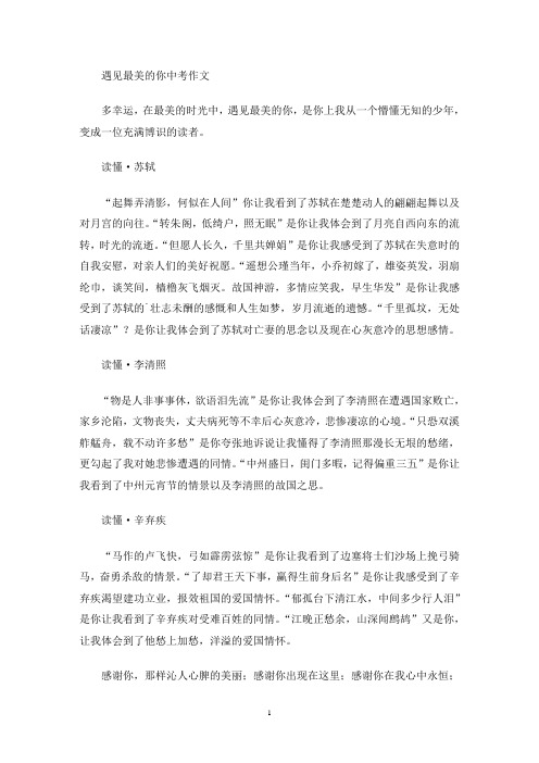 遇见最美的你中考作文(最新)