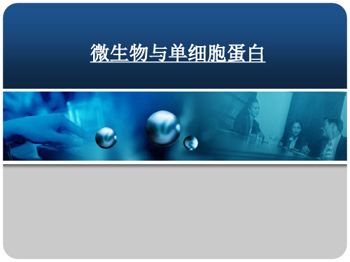 微生物与单细胞蛋白
