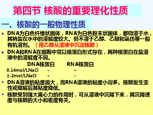 核酸的重要理化性质