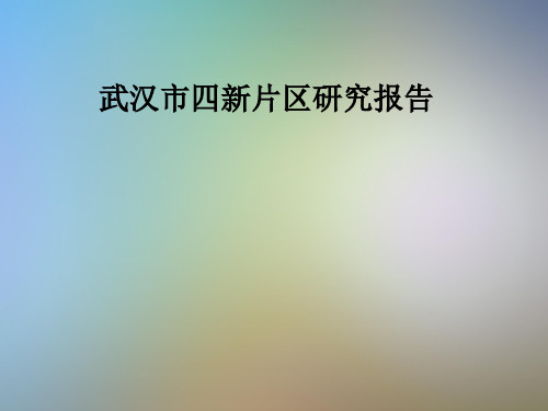 武汉市四新片区研究报告