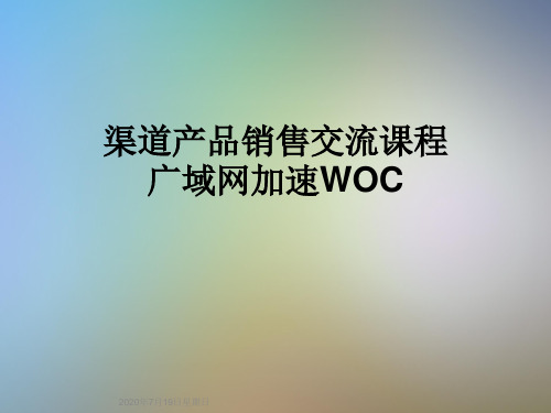 渠道产品销售交流课程广域网加速WOC