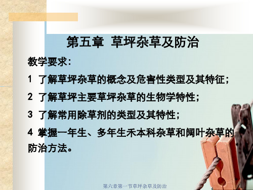 第六章第一节草坪杂草及防治