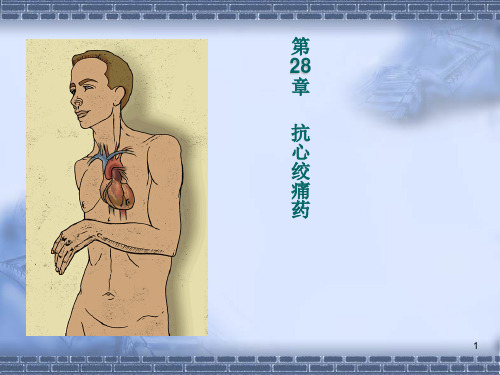 大学课程药理学23章 抗心绞痛药课件