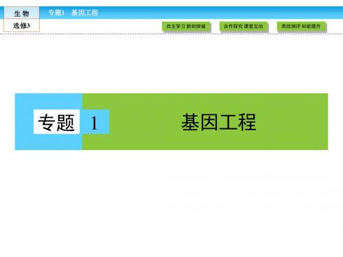 《金版新学案》2018-2019学年高中生物(人教版)选修3课件：专题1基因工程 1.2