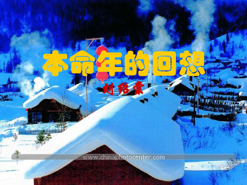 《本命年的回想》PPT课件【苏教版】