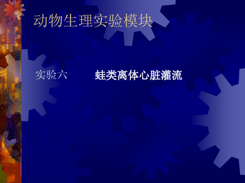 实验六         蛙类离体心脏灌流