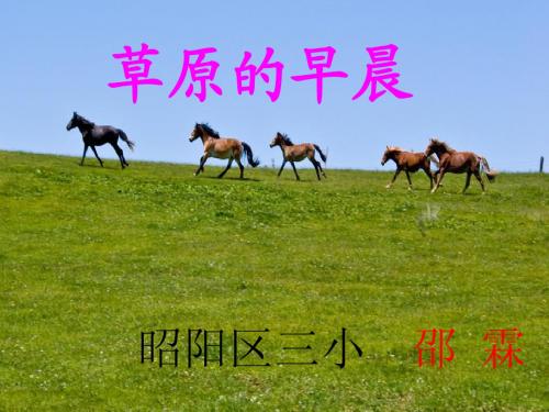 5《草原的早晨》课件