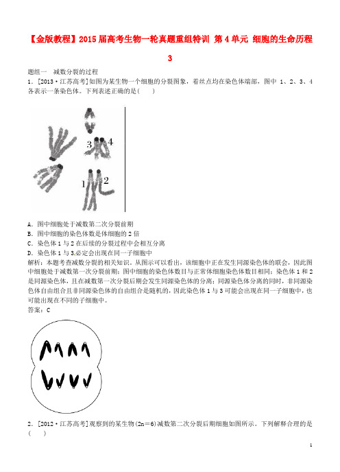 高考生物一轮真题重组特训 第4单元 细胞的生命历程3
